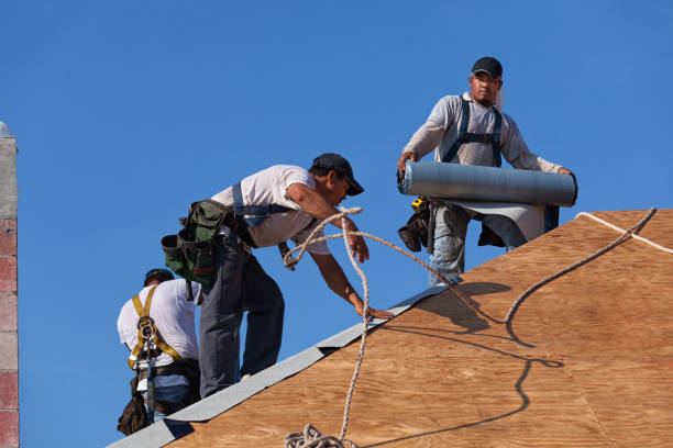 Best Roof Gutter Cleaning  in Merrifield, VA
